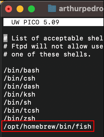 Terminal The last line of the file with the path on terminal